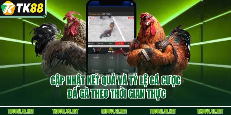 Cập nhật kết quả và tỷ lệ cá cược đá gà theo thời gian thực